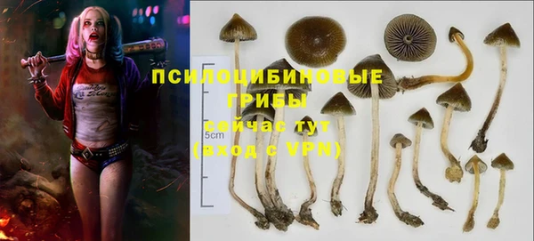 МДПВ Бронницы