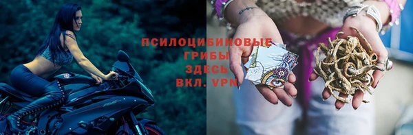 МДПВ Бронницы