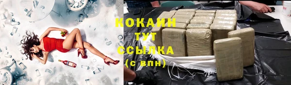 mdpv Бородино