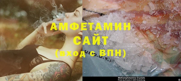 mdpv Бородино