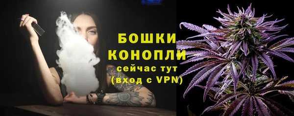 mdpv Бородино