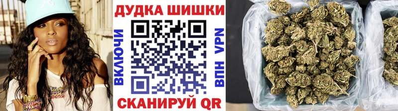 Каннабис сатива  Самара 